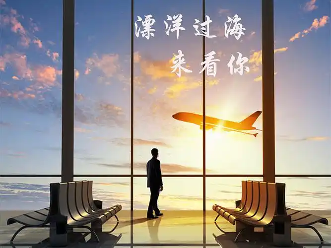 漂洋过海来看你