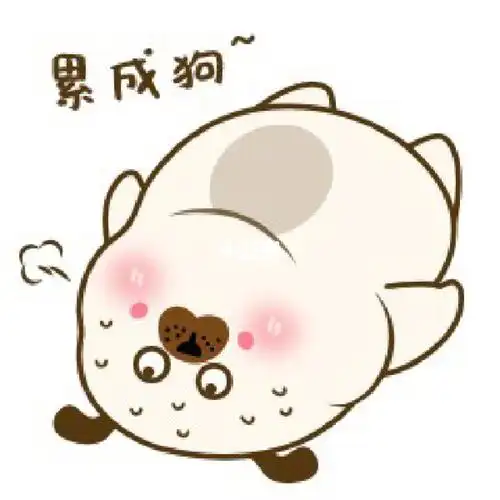 充实而又忙碌的一天05