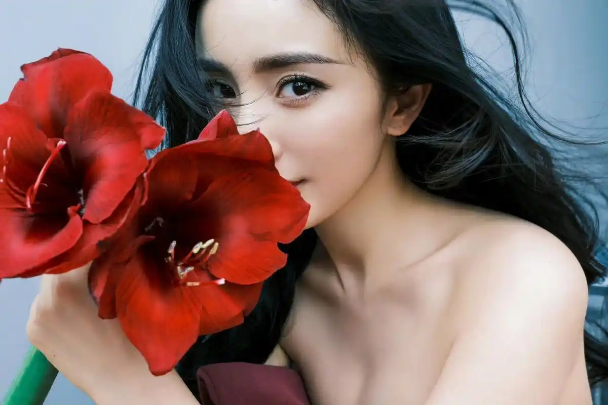 杨幂的红色礼服太妖艳了,瞬间被她的美迷住了.