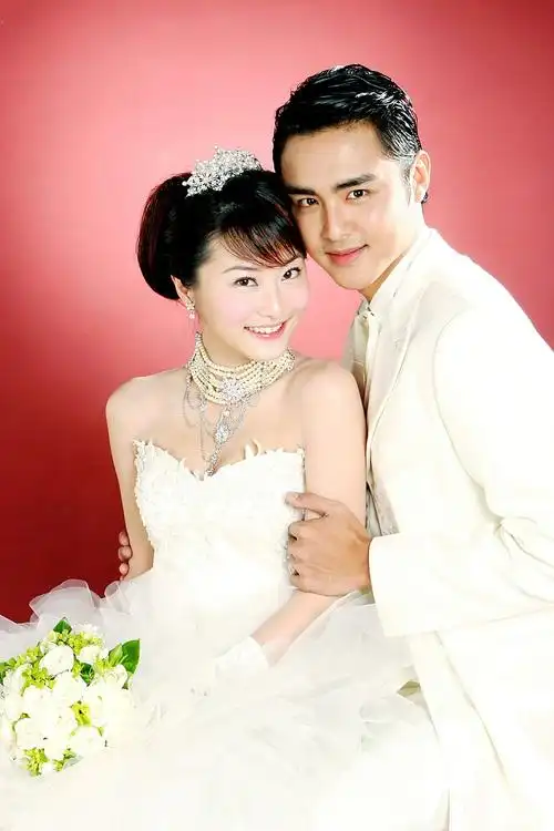 赵虹乔与明道的婚纱照