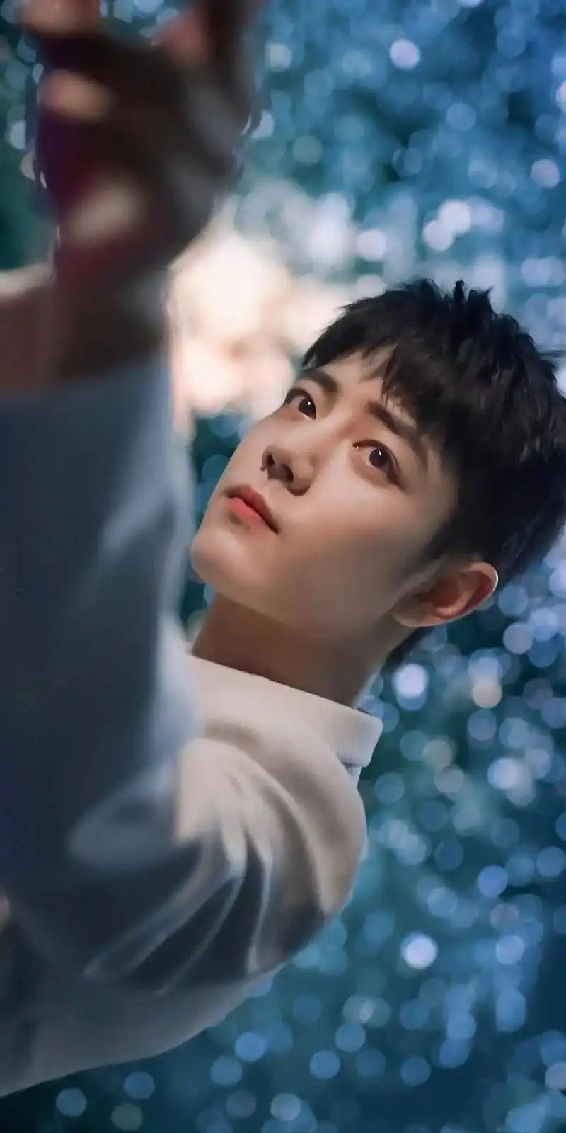 期待肖战的更多作品