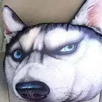 搓二哈狗头表情包_微信头像图片大全