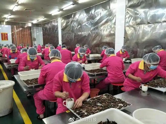 邵阳市举办点卤"宝庆工匠"技能竞赛