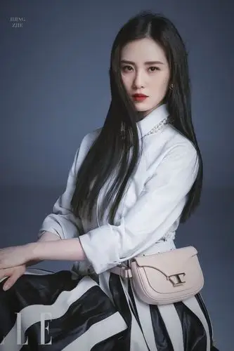 刘诗诗# #刘诗诗黑长直# 刘诗诗《elle》5月刊 (图源by水印)