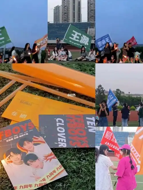 我为王源举大旗