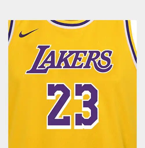 nba 洛杉矶湖人队 勒布朗 lebron james 球服 (童服) 多余链接 3z2b7b