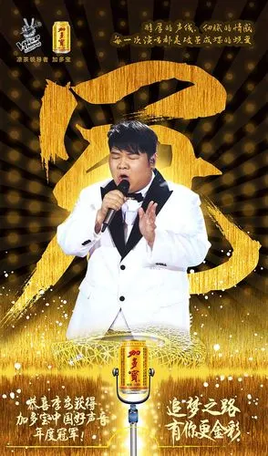 第四季加多宝中国好声音新媒体微博海报冠军海报每个人都是自己人生的