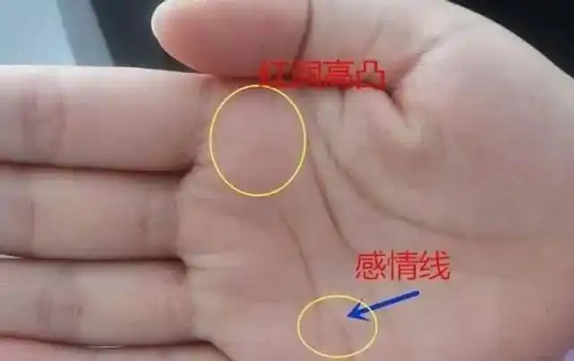 手中的三条线被称为智慧感情生命线分别代表着什么呢
