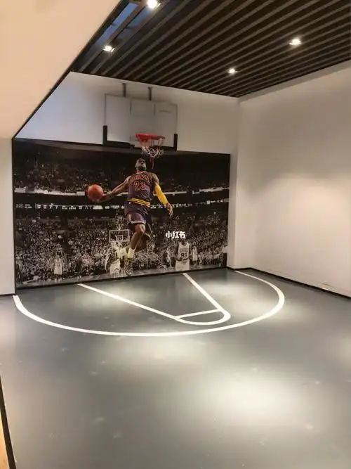 有一个带室内篮球场的小别墅