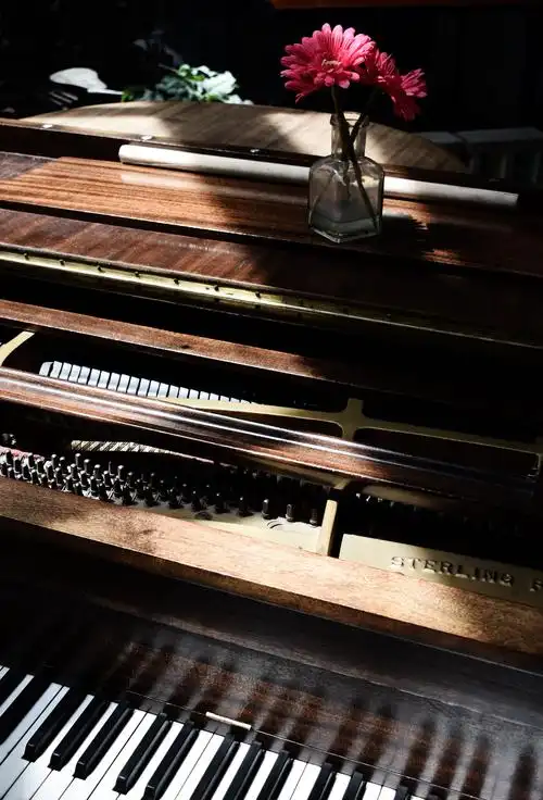 很有质感的钢琴唯美图片 | bobopic
