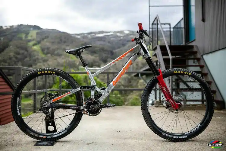 banshee legend 29寸xl码1米83专属速降车