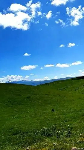 蓝天白云草原美景