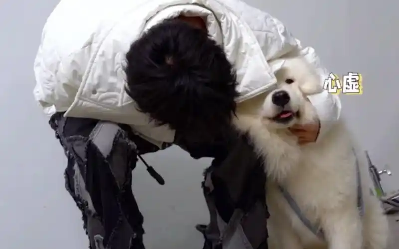 刘耀文和土豆 好可爱的两个奶团子