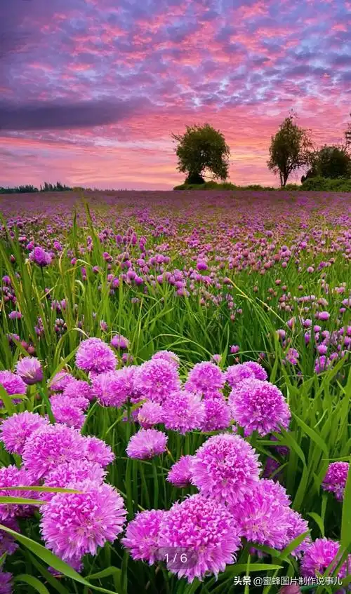 形容风景优美的句子(享受大自然的美景句子) _飞翔号