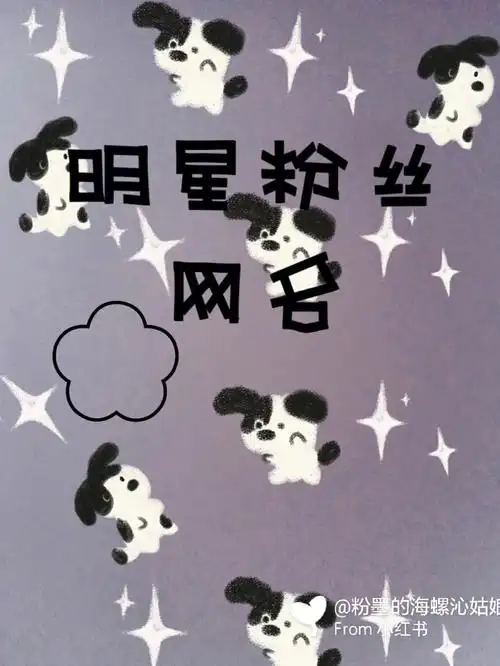 明星粉丝网名吖