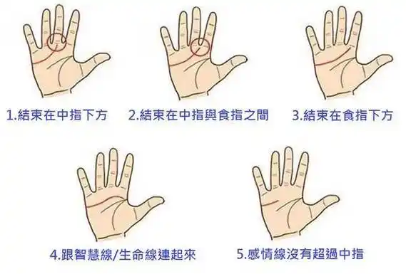 每个人手上都有多多少少的纹路,有一条感情线,主要关系着自己的爱情