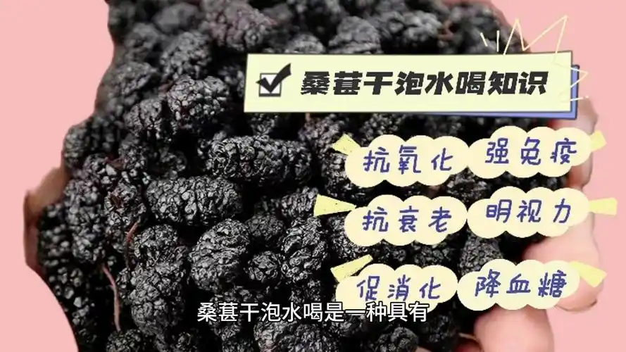 桑葚干泡水喝的功效作用