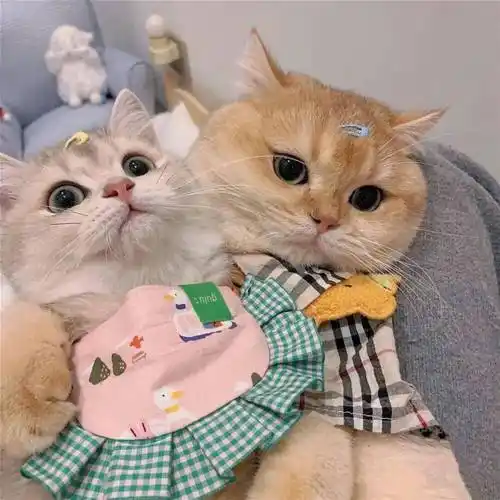 情侣头像 / 值得一换的好看情头_微信_壁纸_姓氏