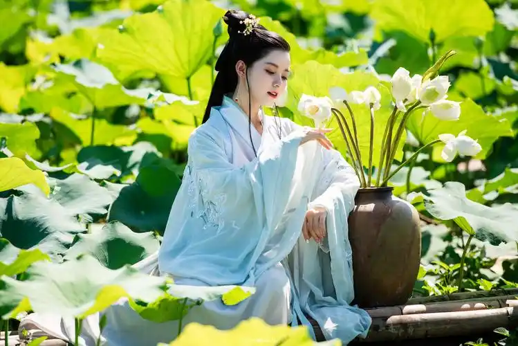 荷花汉服小仙女