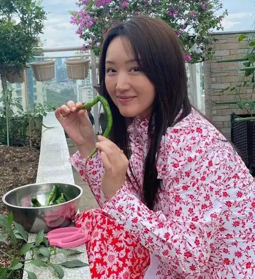 52岁杨钰莹现状曝光:前男友入狱,在深圳豪宅种辣椒,独居不孤独