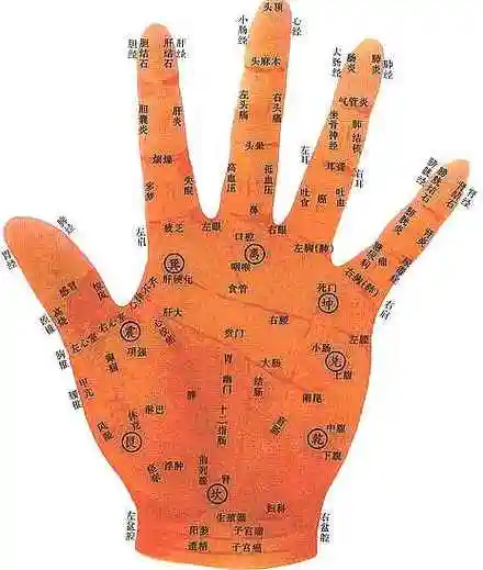 性好疾病 →脏腑功能下降 →血粘 →中毒的规律;      指头诊断规律