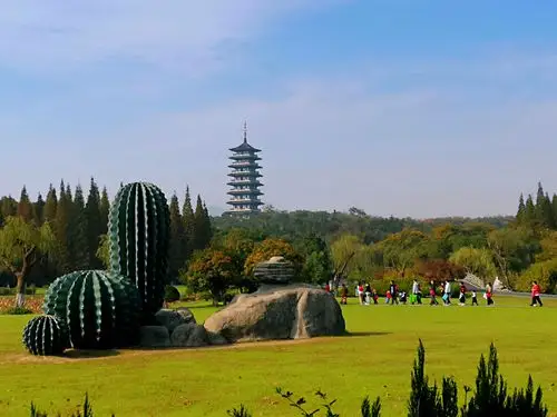 2020年11月6日出发,途中宜兴龙背山森林公园转转.