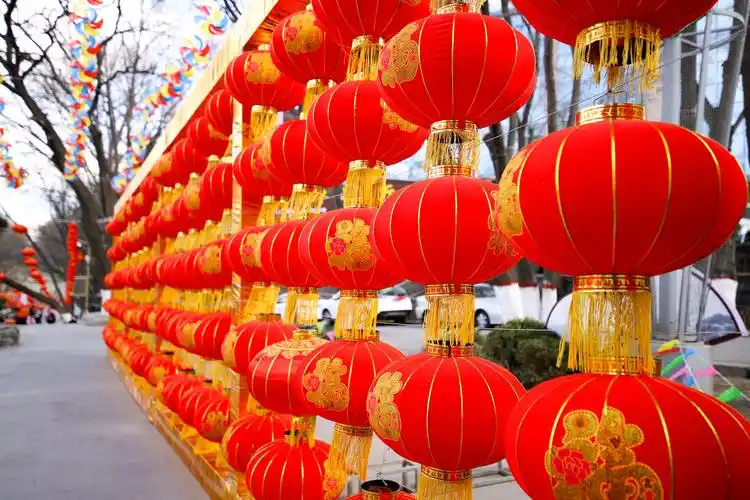 喜庆,团圆又红火的大灯笼.