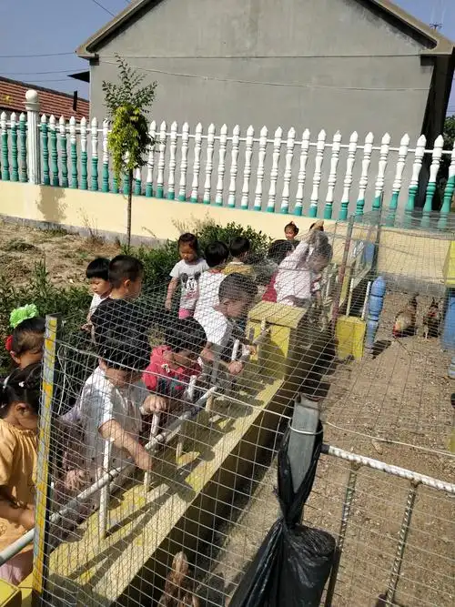 石磨文化绽放光彩——卜庄镇中心幼儿园小二班 写美篇"老师,你看小鸡