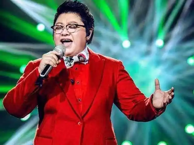 韩红简历个人资料简介(捐款10亿元,善良的背后是原生家庭的破灭)