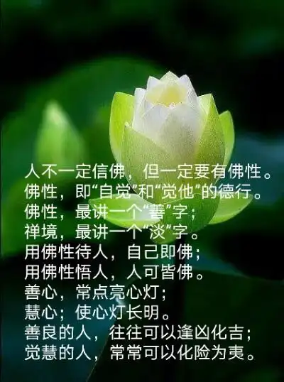 佛性,最讲一个"善"字;禅境,最讲一个"淡"字.