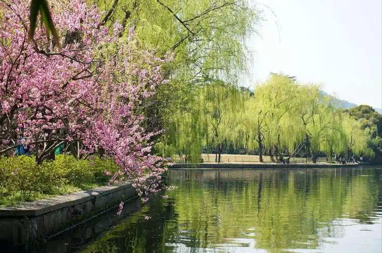 苏堤春晓