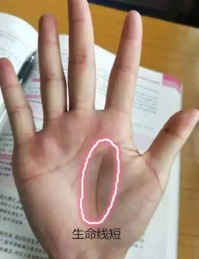 生命线的长短真与寿命有关吗?_手机搜狐网