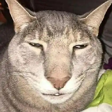 熊猫情侣头像小猪佩奇搞笑头像图片沙雕猫和老鼠搞笑兄弟头像 逗比