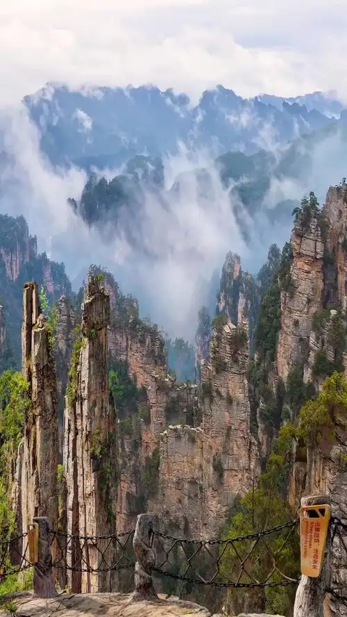 云雾缭绕抱群山,巍峨耸立入云端;扎根危崖秃险峻,深入此境似神仙.