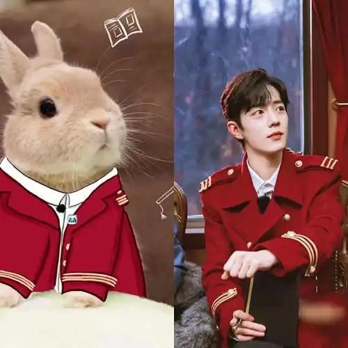 有种"可爱"叫肖战,和兔子比呆萌,粉丝立马收藏为表情包