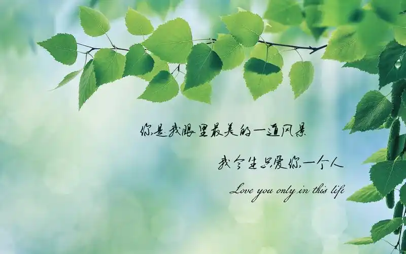今生只爱你的说说图片