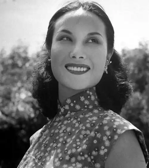 民国袁世凯家族老照片妻女貌美惊艳儿孙英俊非凡是大科学家