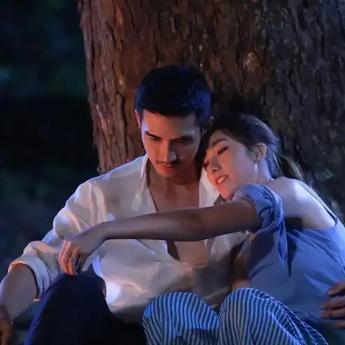 泰剧推荐2022霸道总裁x契约婚姻x变性