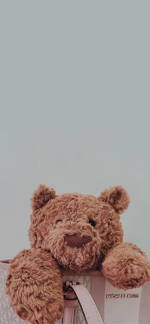 巴塞罗熊 - 堆糖,美图壁纸兴趣社区