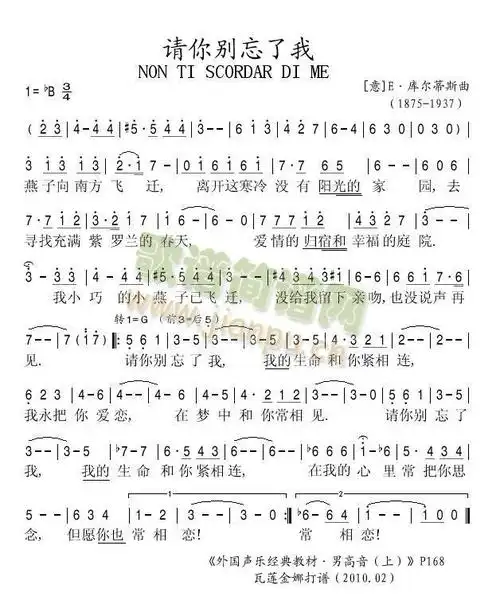 请你别忘了我 歌谱简谱网