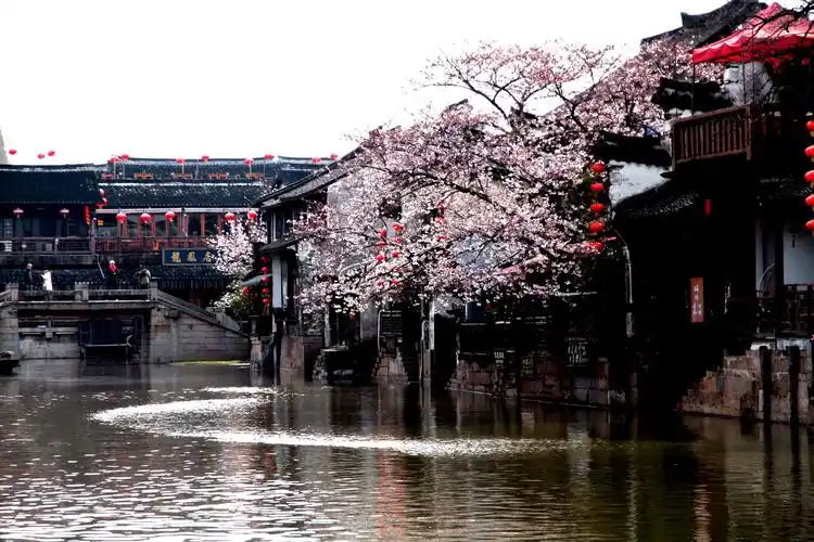 江南古镇…西塘