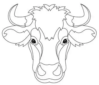 手画的涂鸦大纲牛头照片