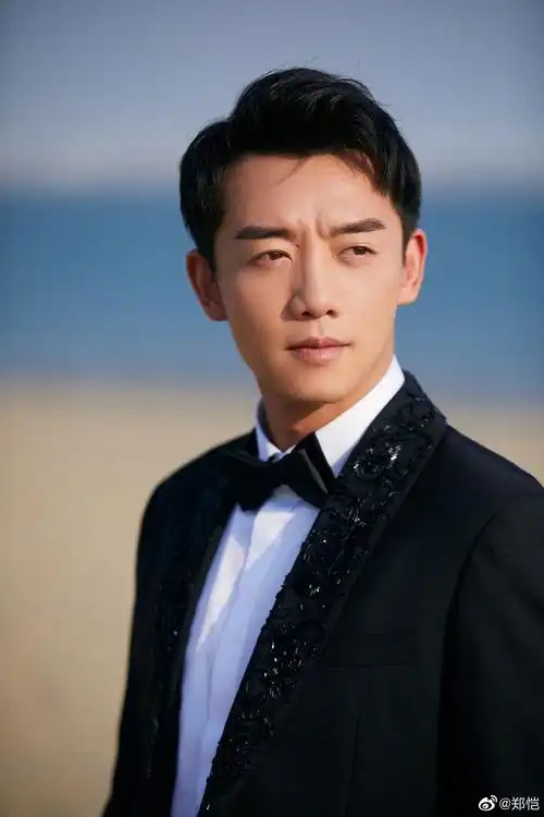 金鸡男明星,郑恺出的图,很舒服啊