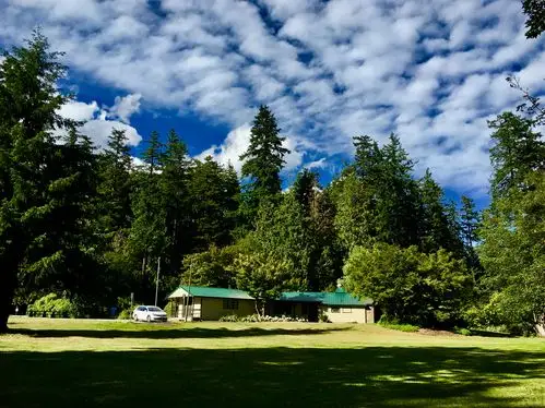 温哥华风光 写美篇  伯纳比中央公园   这是一块野趣盎然的原始森林和