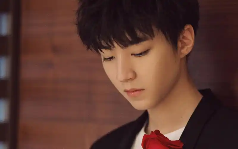 王俊凯优雅绅士风高清桌面壁纸