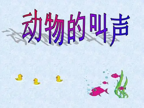 动物叫声ppt