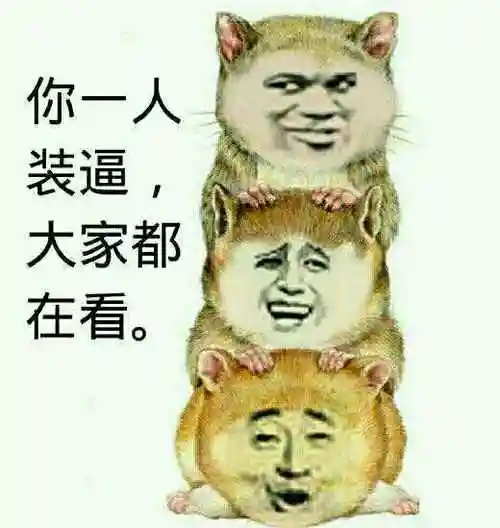 三只狗:你一人装逼,大家都在看