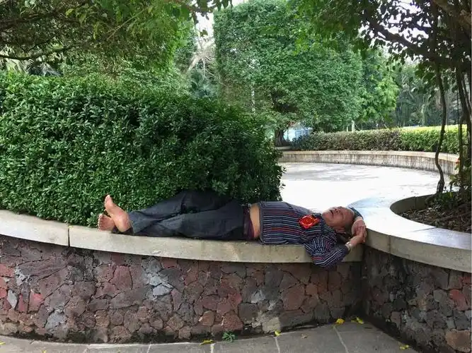 一看就知道是一对年轻讲究的恋人海口人民公园的一位老人,在安静的听