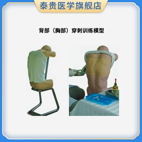 胸腔穿刺模型背部(胸部)穿刺训练模型综合穿刺技能训练假人(前倾坐位)