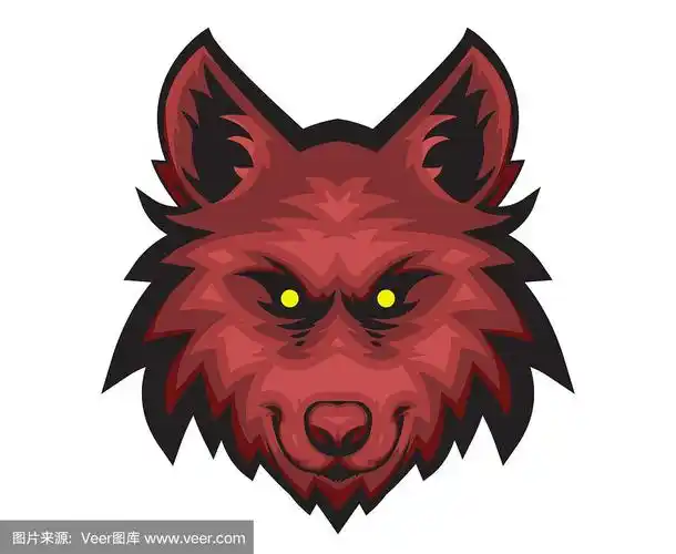 红色,狼,野生动物,哺乳纲,动物